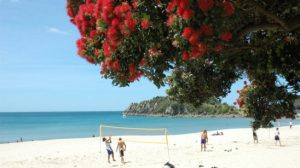 MANAGING ASTHMA AND ALLERGIES THIS SUMMER