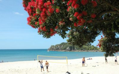 MANAGING ASTHMA AND ALLERGIES THIS SUMMER