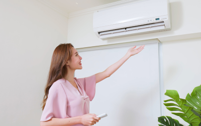 Summer Cooling Trends: How New Zealanders Are Embracing Heat Pumps for Seasonal Comfort