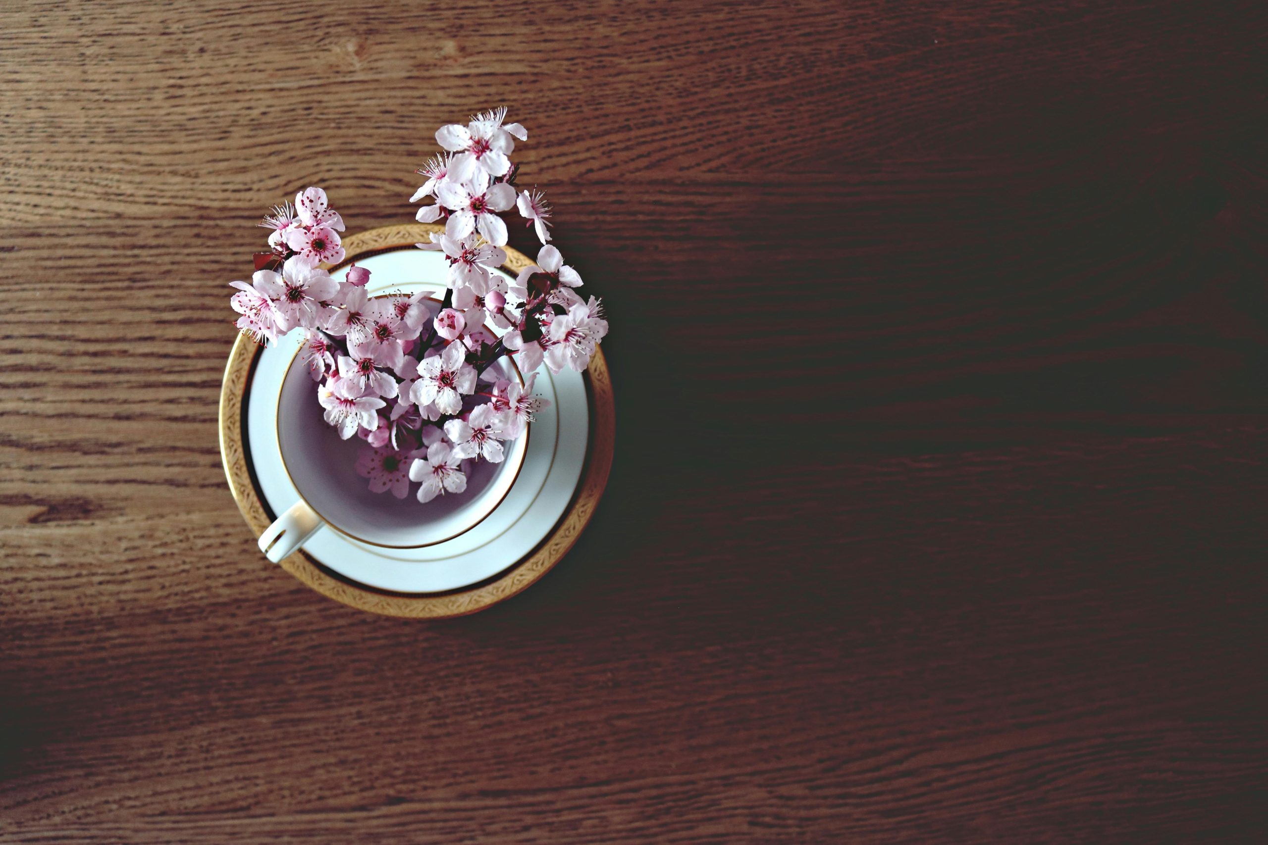 debunking-five-5-common-myths-heatpump-blog-banner